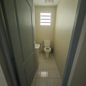 Shower, towels, toilet paper - VILLA TI-Coulange - (Rivière-Pilote)