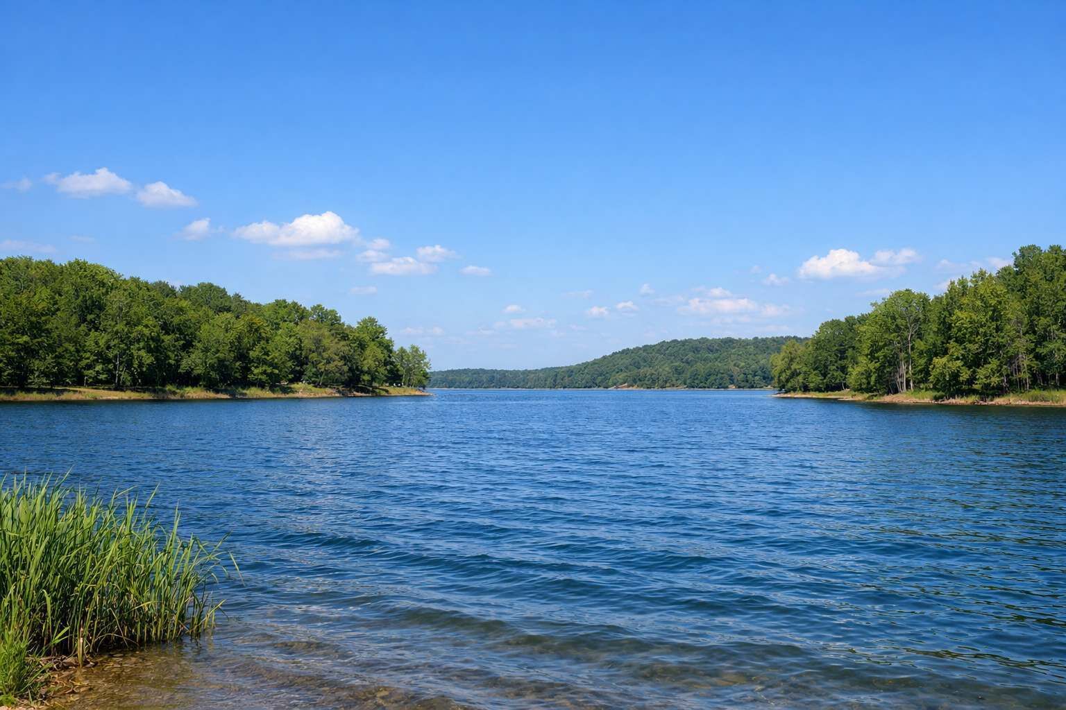 Un lac paisible, bordé de forêts denses de chaque côté.