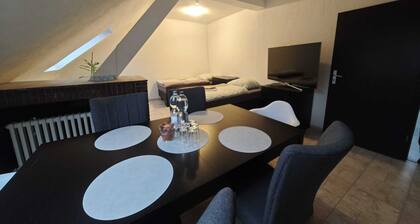 Bright 3-room apartment with 7 beds