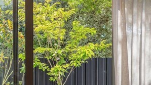 Uma área externa moderna com assentos, incluindo um sofá e cadeiras de vime, uma porta de vidro que dá para um jardim e uma cerca preta ao fundo.
