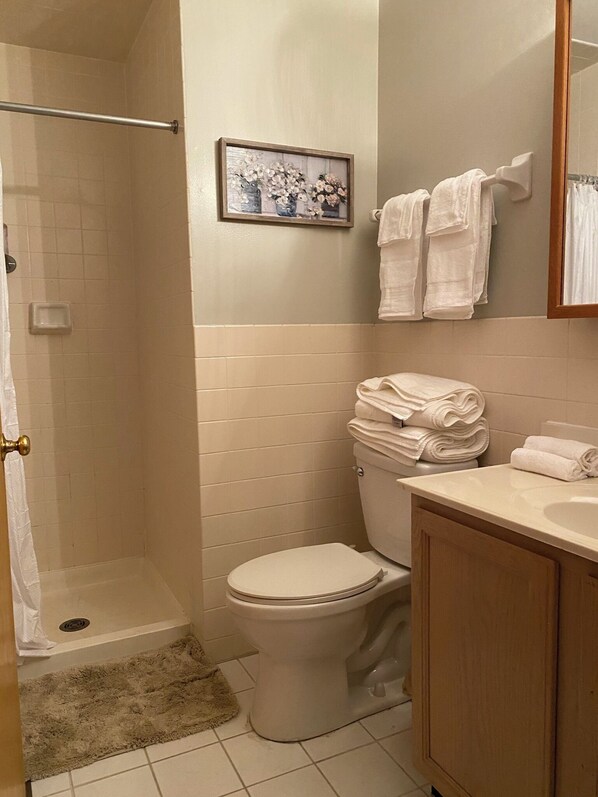 Shower, hair dryer, towels, soap
