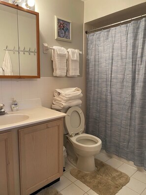 Shower, hair dryer, towels, soap - Marvelous 4-bedroom townhome with Free Parking in vibrant Chicago (Chicago)