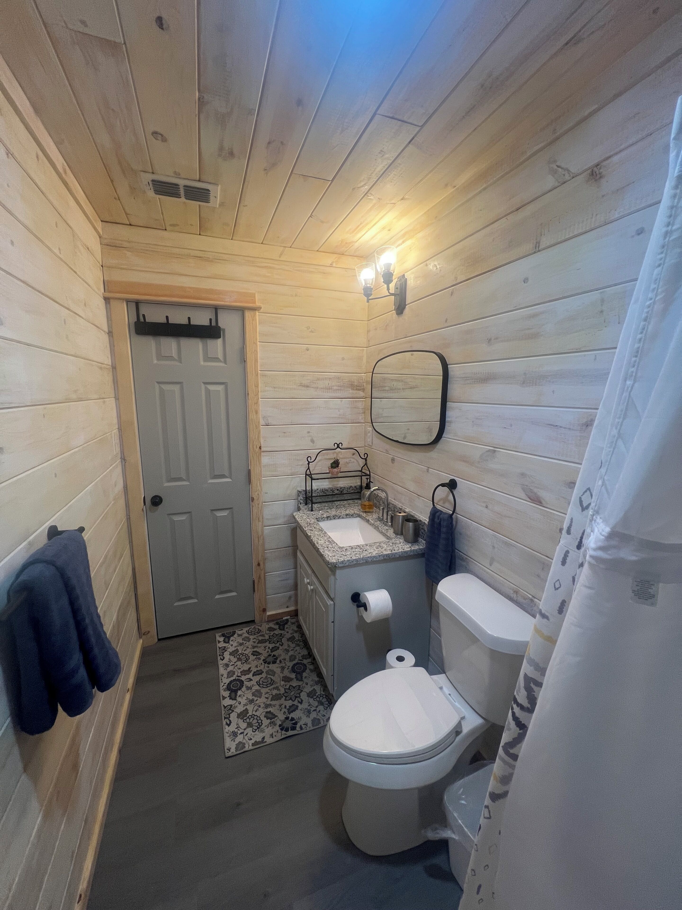 Shower, towels, soap, toilet paper