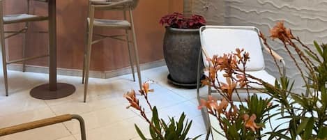 Un rincón de una habitación con una mesa, sillas, una planta grande en maceta y una pared con textura.