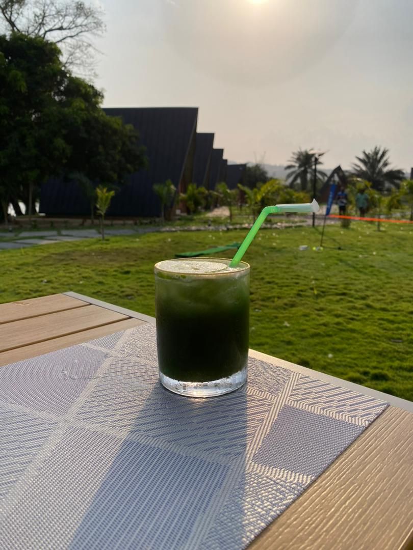 A glass of green beverage on a table with a patterned placemat, set outdoors with a grassy area and buildings in the background.