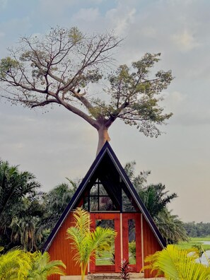 Room - Palm Island Resort (Atimpoku)