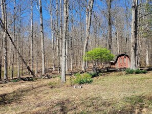 Property grounds - Secluded, Private Brown County Retreat! 8.5 Acres, 3BR, 3BA, Near Bloomington! (Nashville)