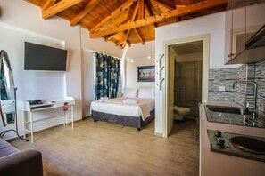 A bedroom with a bed, a desk, a TV, a shower, and a kitchen area.