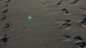 Una playa con huellas que se dirigen hacia el agua, un cielo despejado y el sol bajo en el horizonte.
