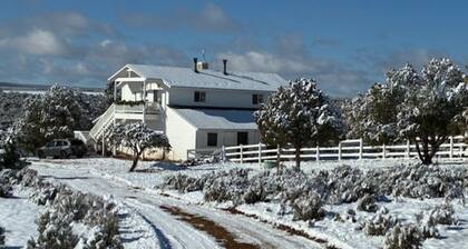 Charming farmhouse on 200 acres in Hesperus, CO overlooking 5,000 acre reserve.