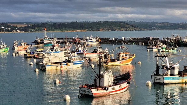 Un port où sont amarrés de nombreux bateaux de pêche.