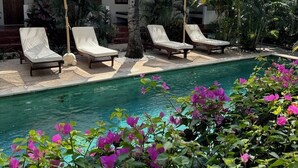 Unclassified image, 5 of 34, button - White Coconut Resort (Gili Trawangan)