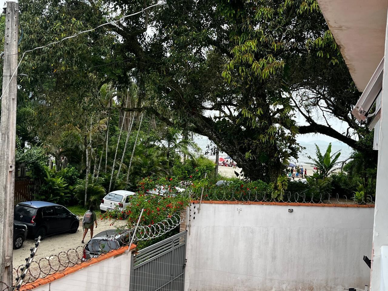 A gated residential area with a concrete wall, a barbed wire fence, and a large tree providing shade.