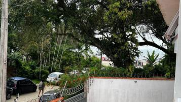 A gated residential area with a concrete wall, a barbed wire fence, and a large tree providing shade.