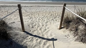 Una spiaggia sabbiosa con pali di legno e una barriera con corda.
