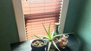 A corner table with a potted aloe vera, a small succulent, and a decorative vase.