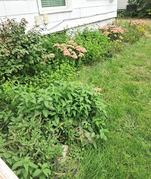 Exterior detail - Snowdrop: Cozy Reno Pets-OK Studio Soak Tub Nr ISU (Ames)