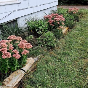 Un jardín con plantas florecientes de color rosa y un edificio blanco.