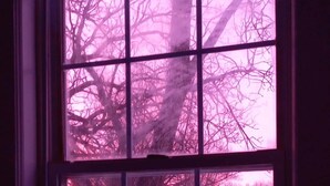 Ein Fenster mit Blick auf einen Baum und eine verschneite Landschaft.