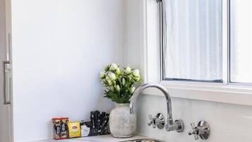 Una cocina con un lavamanos de acero inoxidable, una ventana con persianas y una planta en maceta.