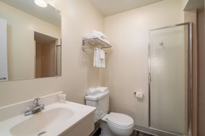 Une salle de bain avec un lavabo, des toilettes et une douche.