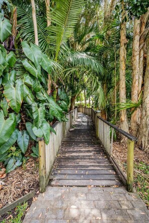 A wooden pathway flanked by lush greenery and trees, leading through a tropical garden. - 10 Beach Houses - Agnes Water (Agnes Water)