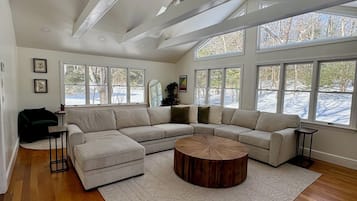TV, fireplace, books, music library