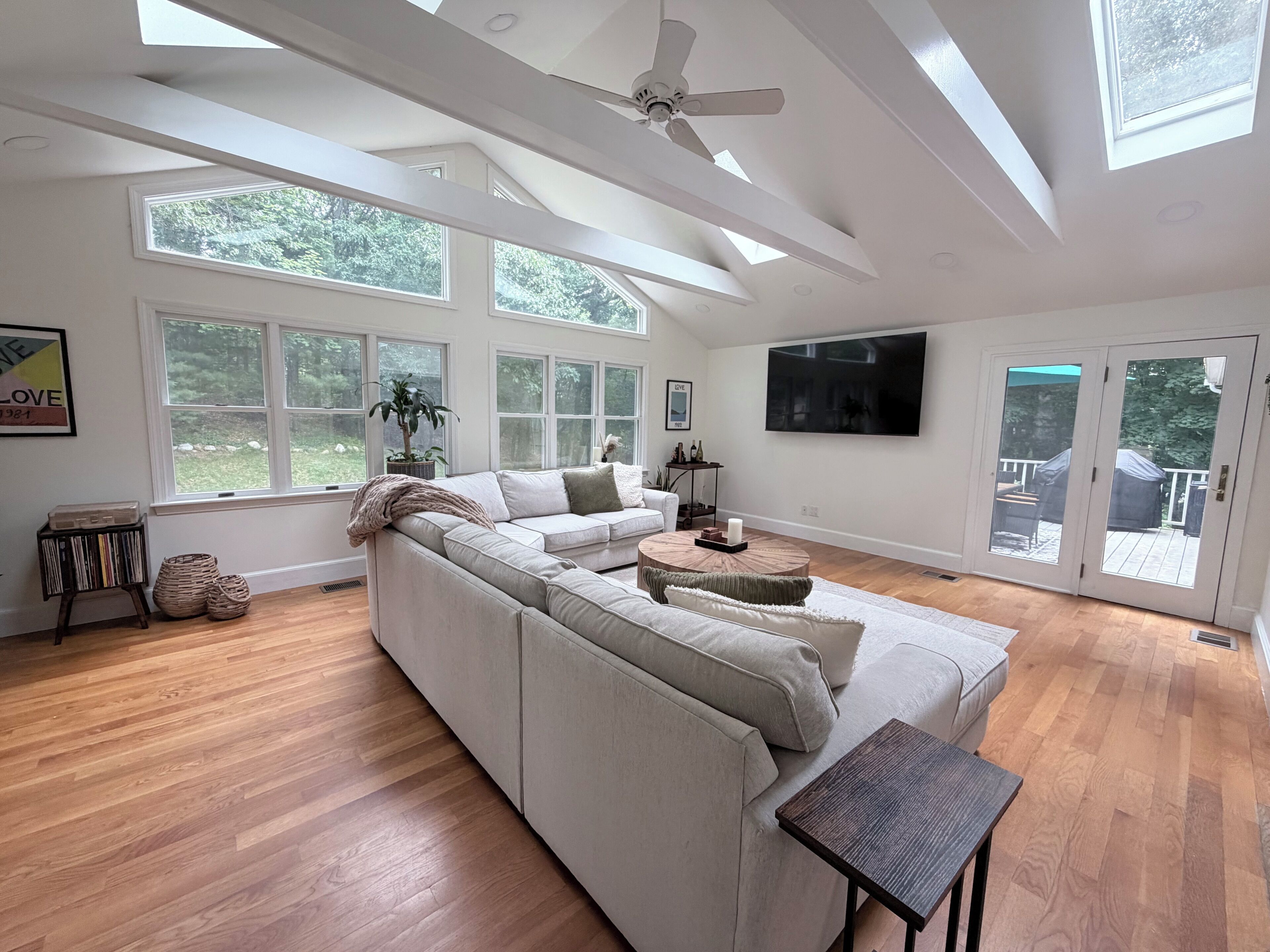 TV, fireplace, books, music library