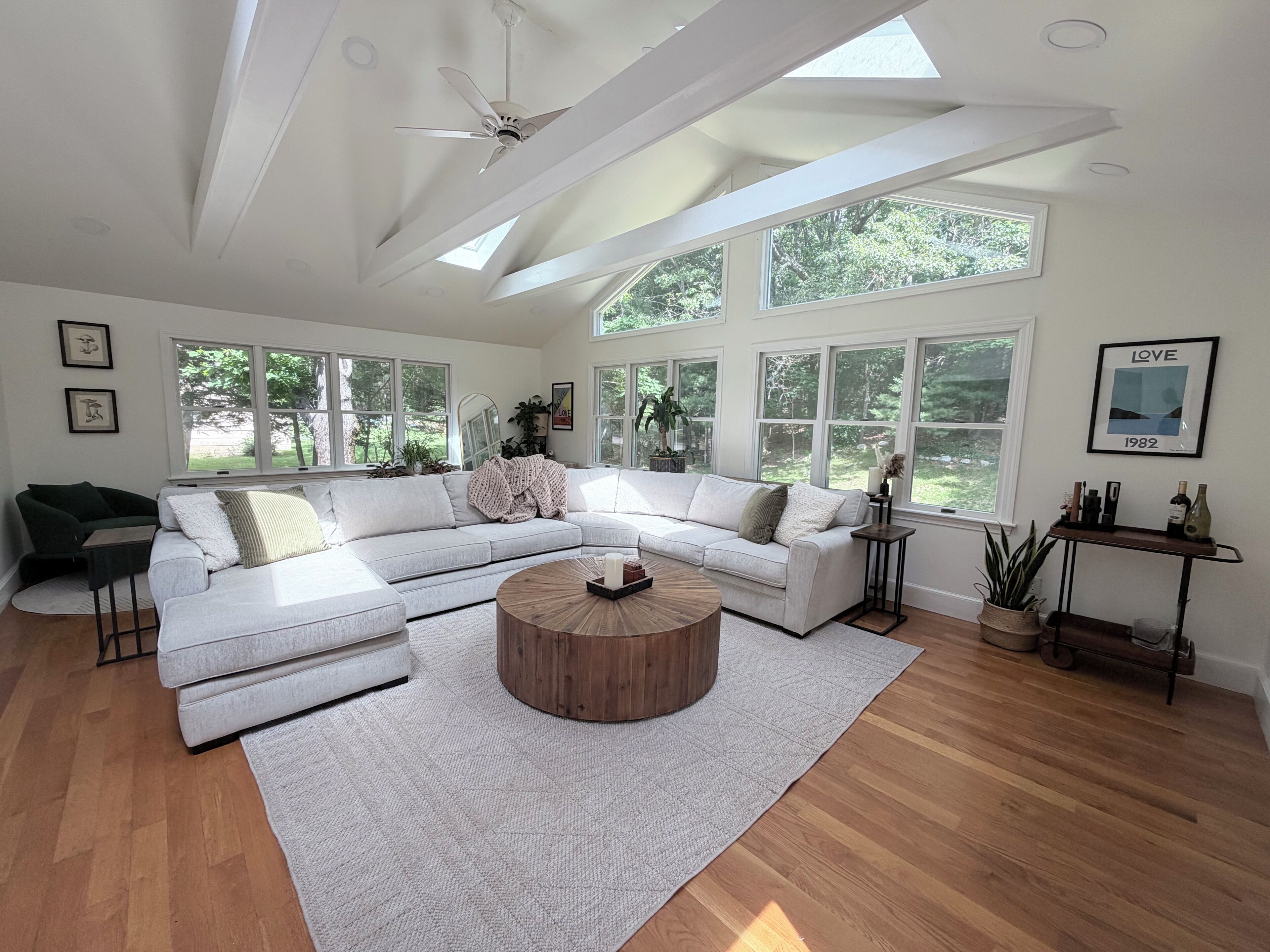 TV, fireplace, books, music library