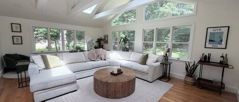 TV, fireplace, books, music library