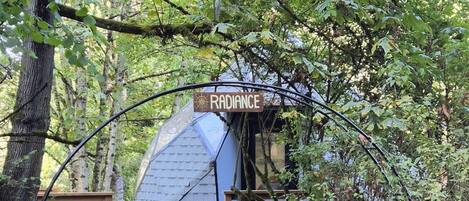 Un chalet rustique, portant l’inscription « Radiance », est entouré d’arbres et le sol est recouvert de feuilles.