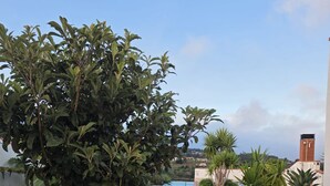 Uma área de piscina com deck revestido em azulejo, cercada por vegetação e céu claro.