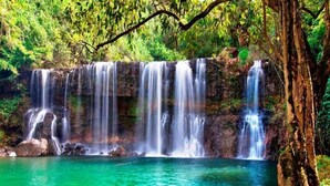 Une cascade se jetant dans un bassin limpide, entouré d’une végétation luxuriante.