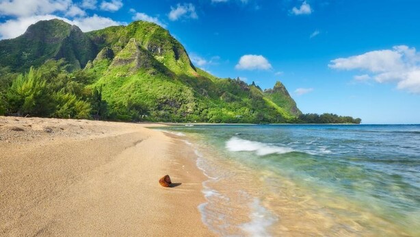 Une plage à l’eau claire, un rivage sablonneux et une montagne en arrière-plan.