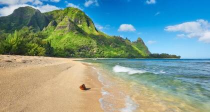 Rooftop Camper Experience Fully Equip