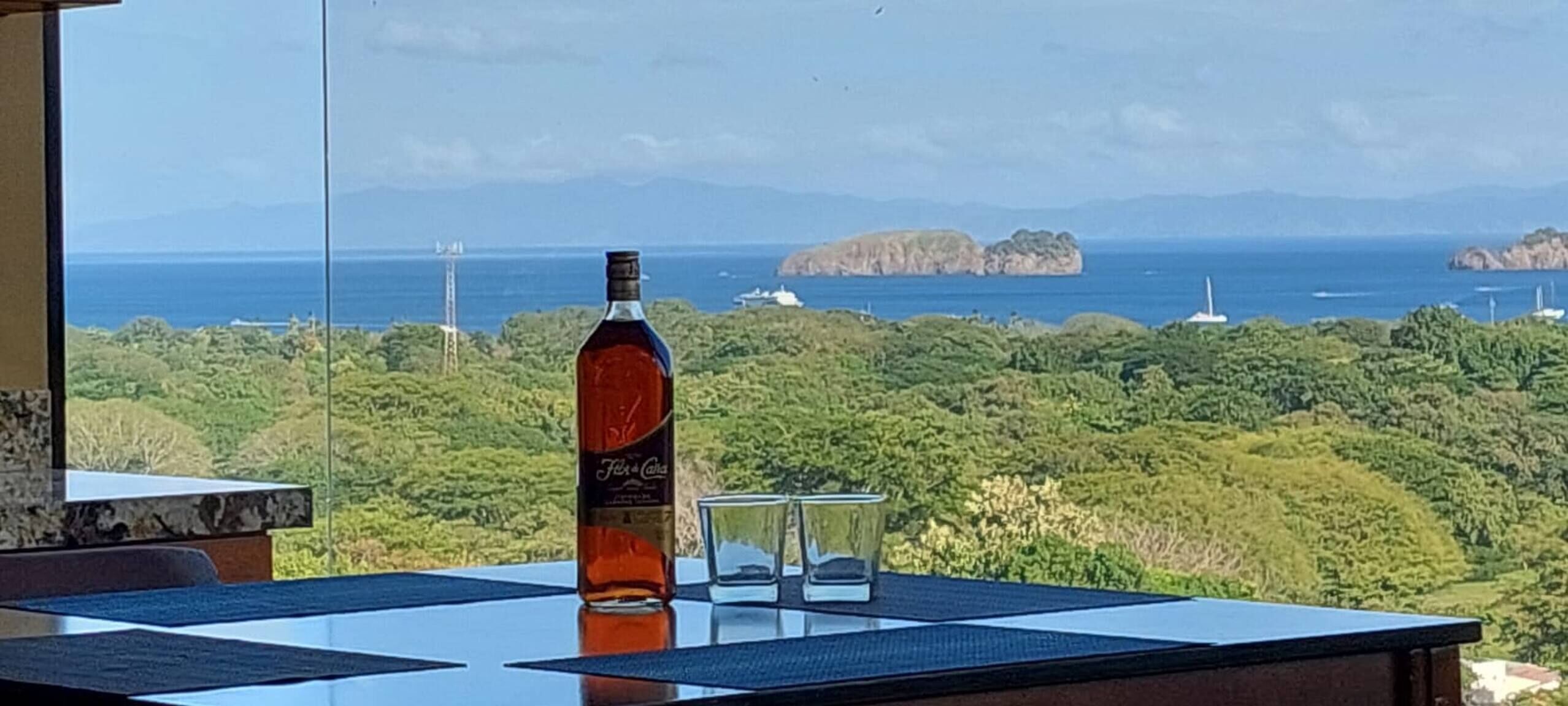 A bottle of liquor on a table with a clear glass, overlooking a coastal landscape with hills and the sea.