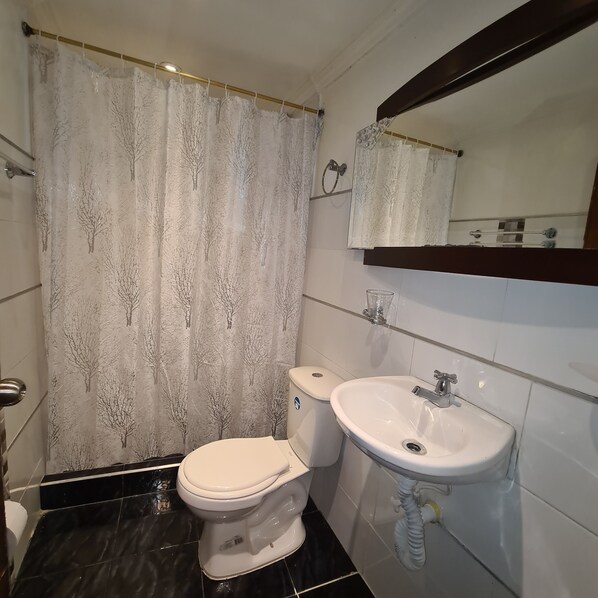 Serviettes fournies, savon, papier toilette