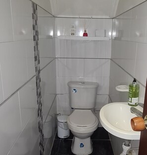 Serviettes fournies, savon, papier toilette