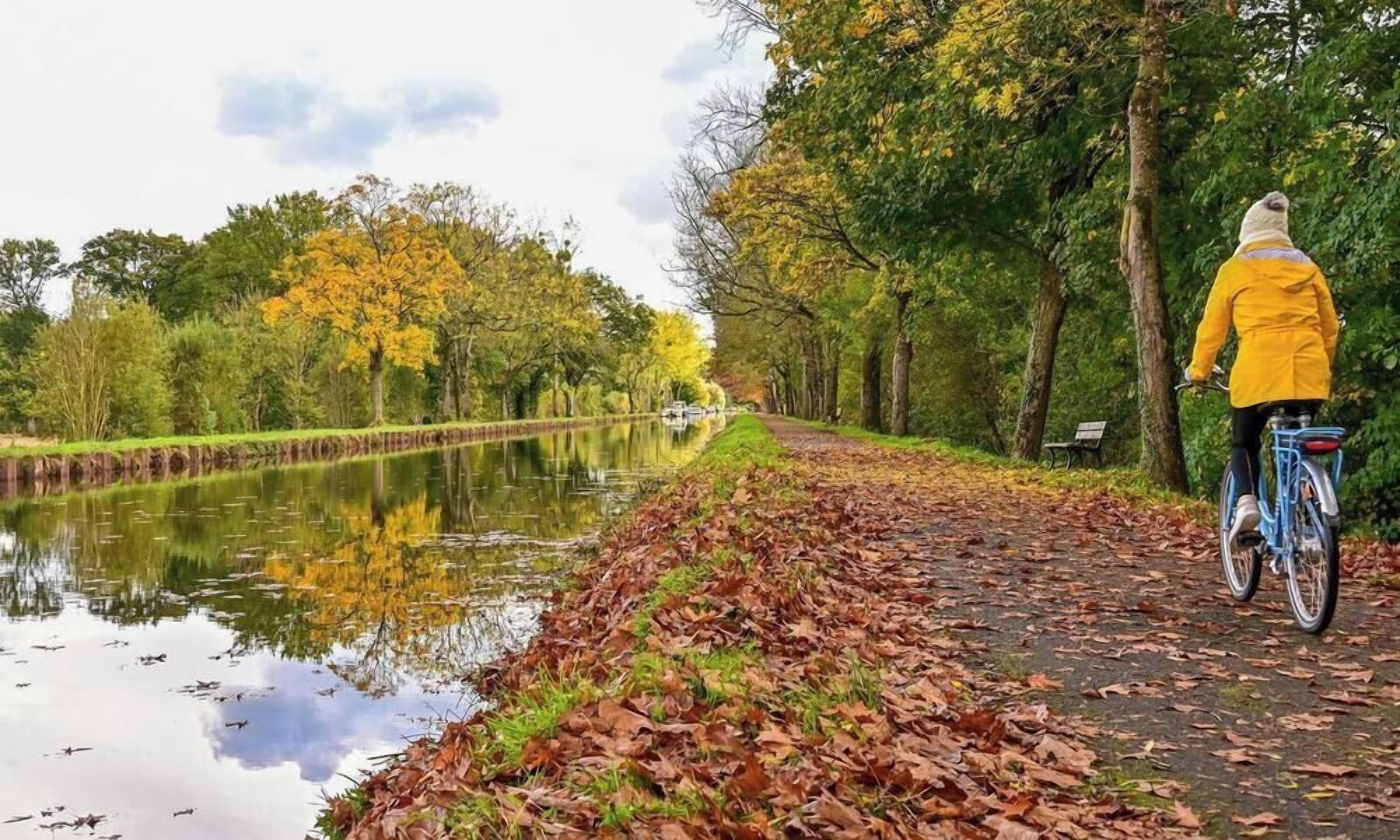 Eine Person fährt mit einem Fahrrad auf einem Weg entlang, neben einem ruhigen Gewässer, umgeben von Bäumen mit Herbstlaub.