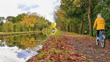 Eine Person fährt mit einem Fahrrad auf einem Weg entlang, neben einem ruhigen Gewässer, umgeben von Bäumen mit Herbstlaub.