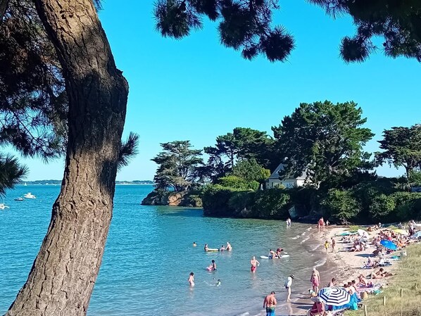 Ein Strand mit klarem Wasser, Menschen beim Schwimmen und Sonnenbaden, und ein großer Baum im Vordergrund.