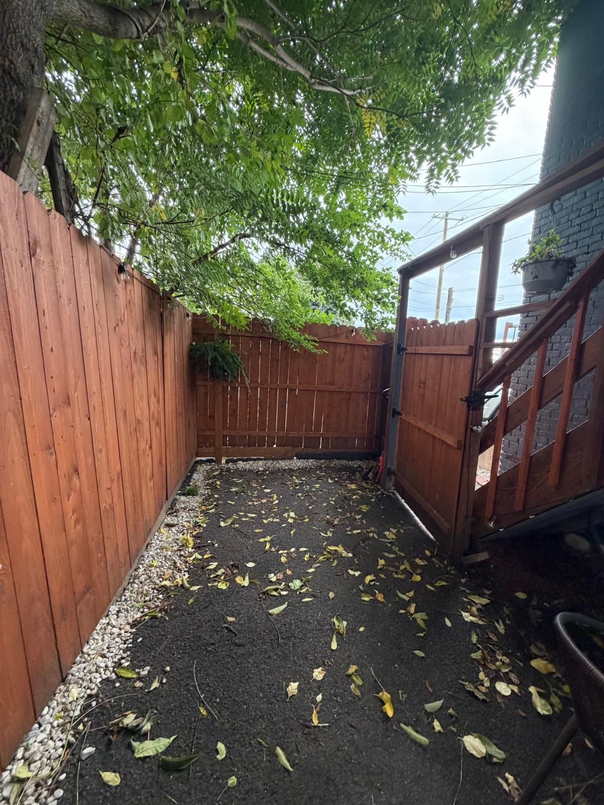 A fenced backyard with a wooden fence, gravel path, and scattered leaves.