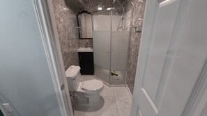 Douche, séchoir à cheveux, serviettes fournies, savon
