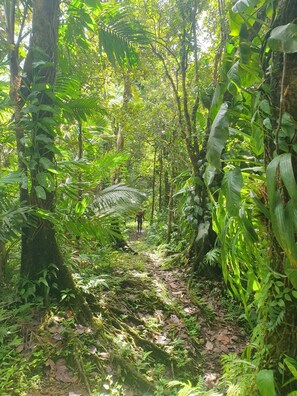 Miscellaneous - Vrbo Property (Gros-Morne)