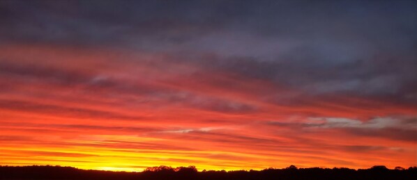 A sunset with a silhouette of a forested area.