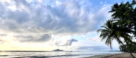 A beach with palm trees, a sandy shore, and a distant mountain.