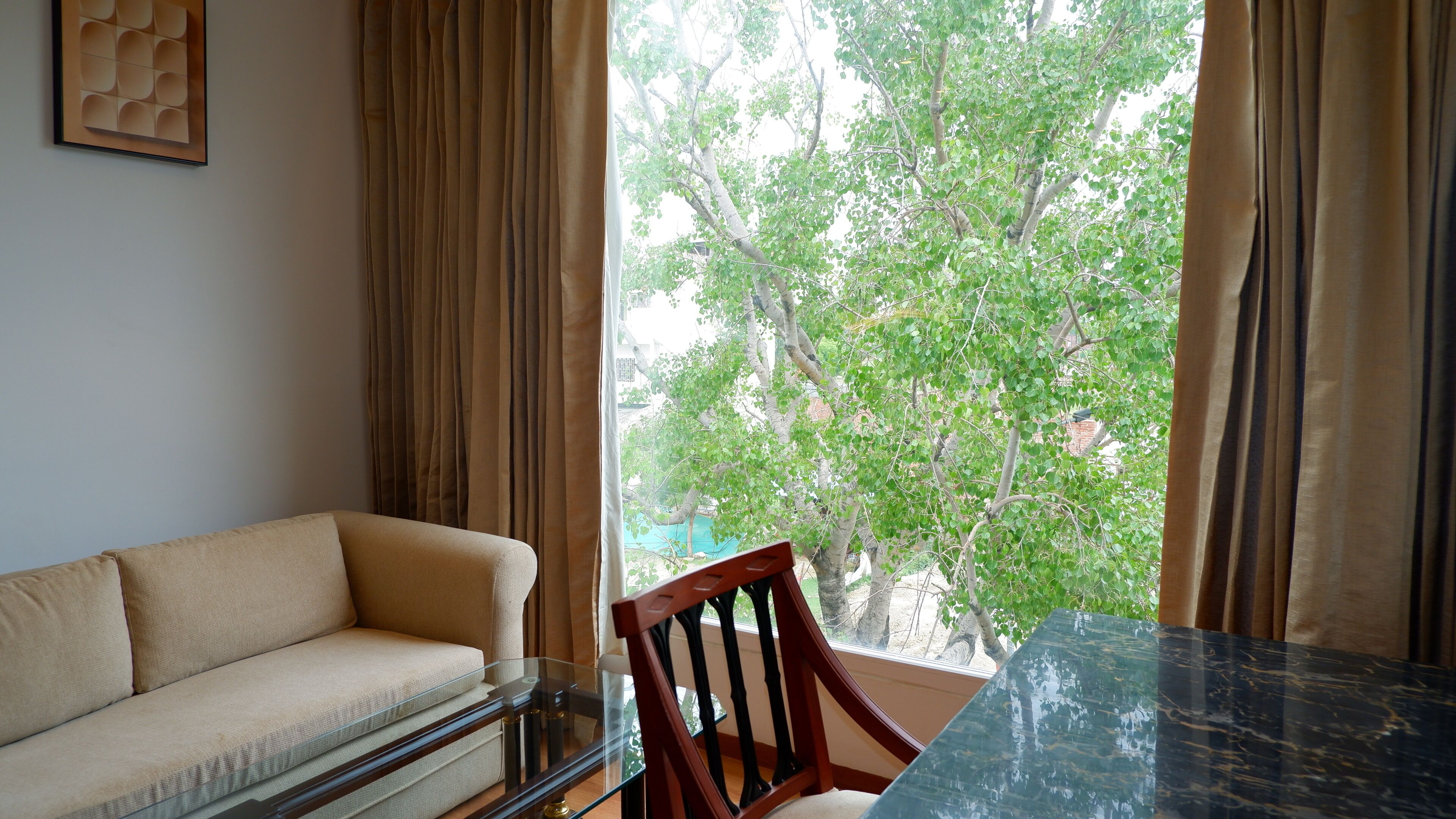 A room with a sofa, a dining table, and a chair. There is a window with curtains, and a tree is visible outside.