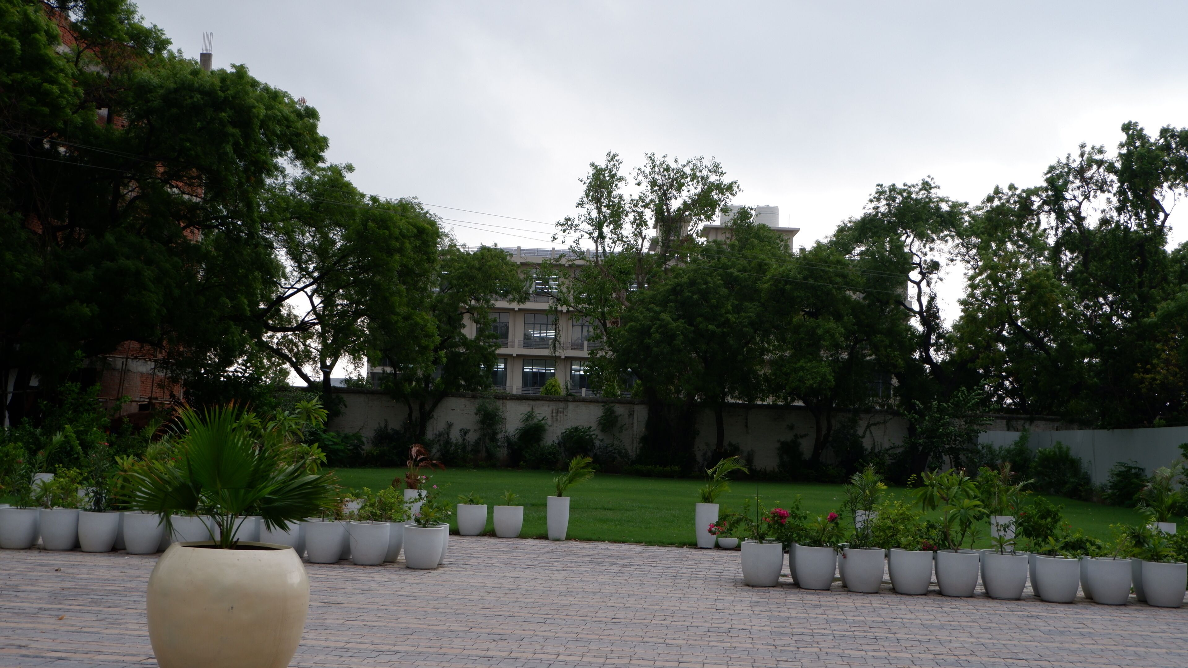 A paved courtyard with potted plants and a building in the background.