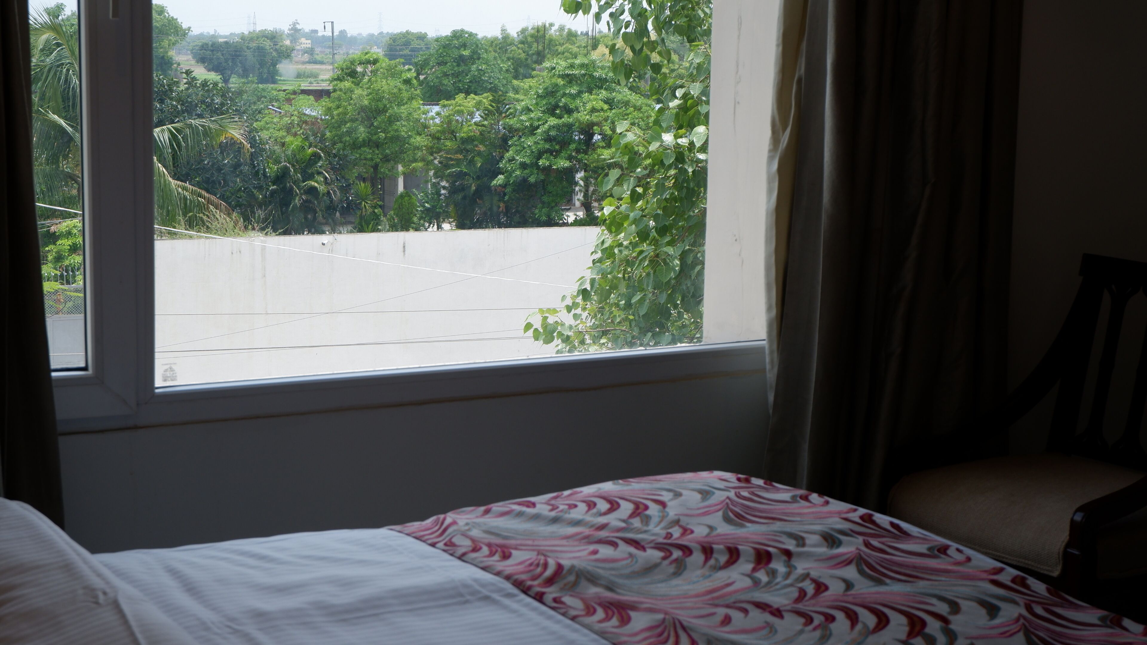 Garden view