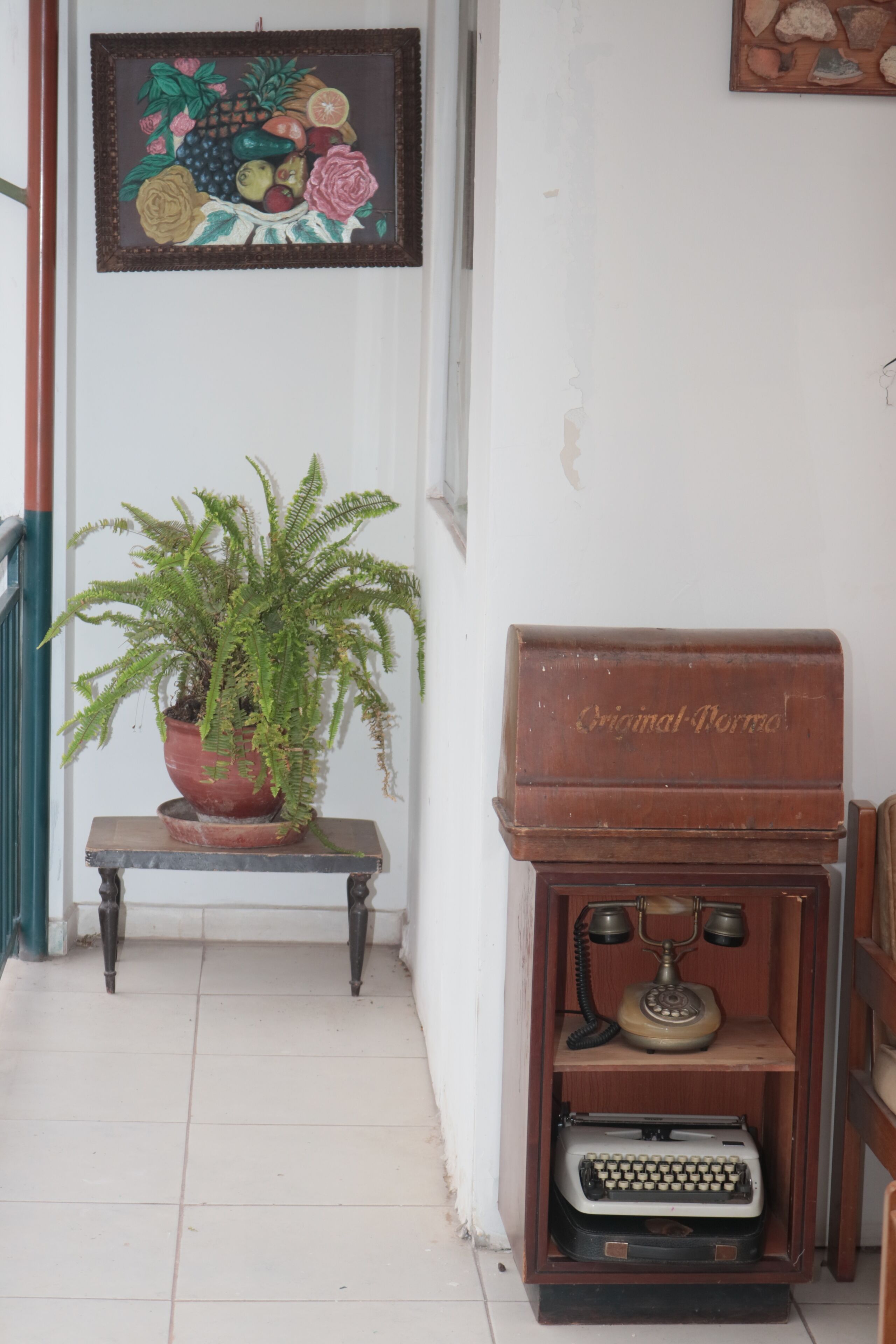 A hallway with a potted fern, a vintage telephone, and a framed artwork on the wall.